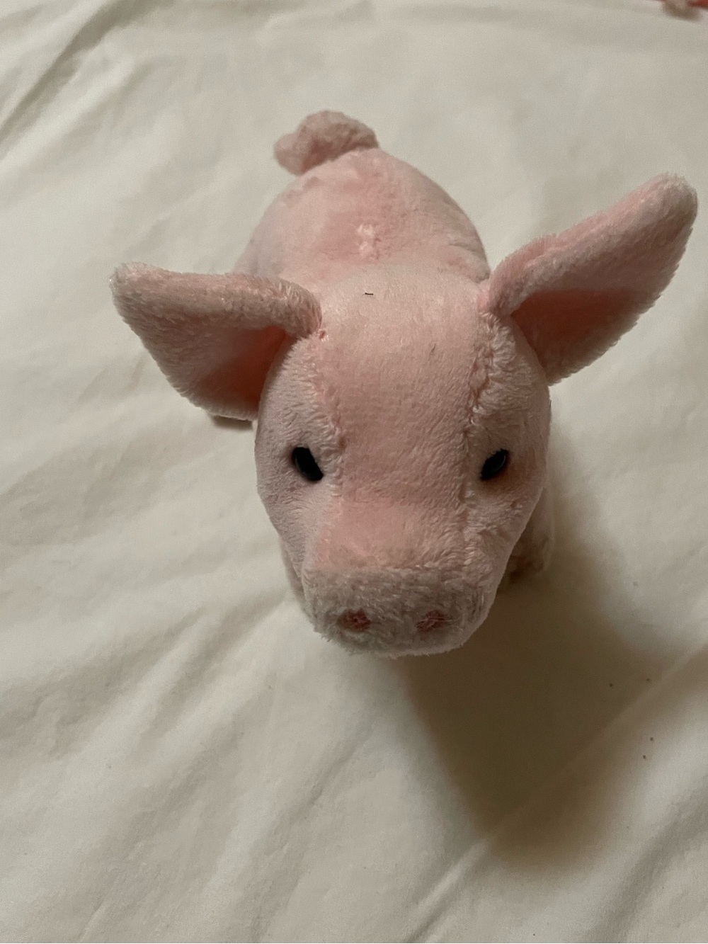 Douglas plush pig